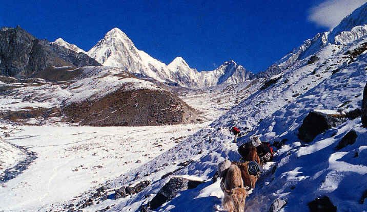 Trail to Kala Pattar and Mt. Pumori in the distance