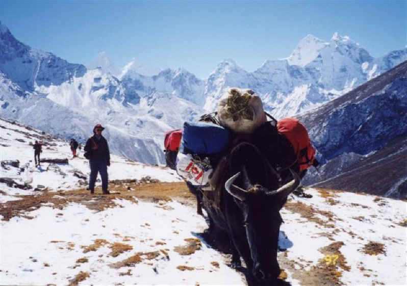 Trekking from Dingboche to Dugla - Khumbu Valley Everest Base Camp